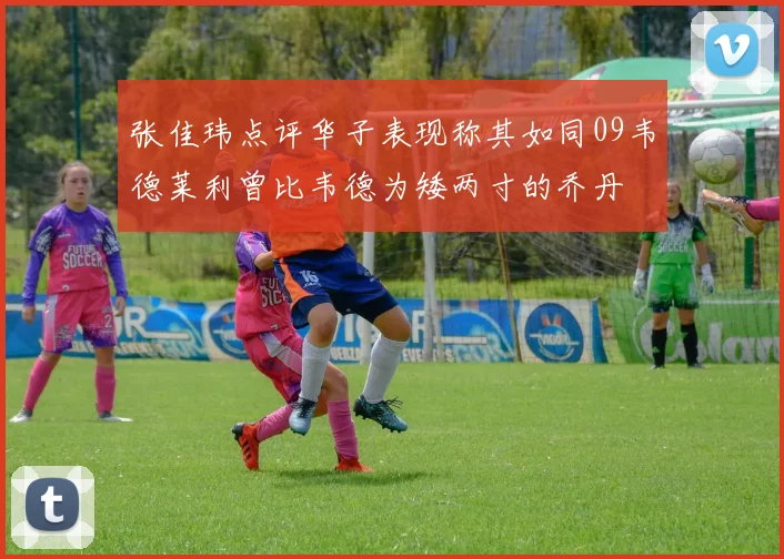 张佳玮点评华子表现称其如同09韦德莱利曾比韦德为矮两寸的乔丹