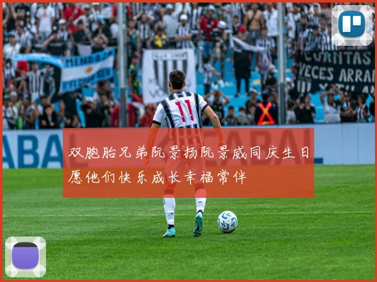 双胞胎兄弟阮景扬阮景威同庆生日愿他们快乐成长幸福常伴