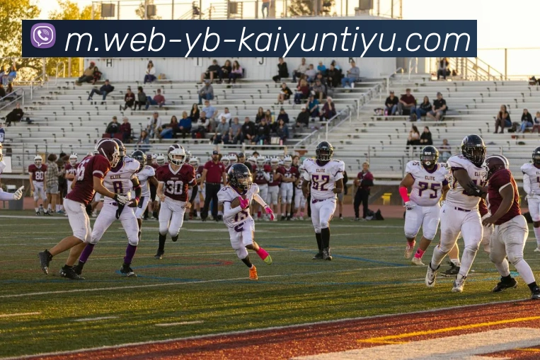 多媒体互动体验